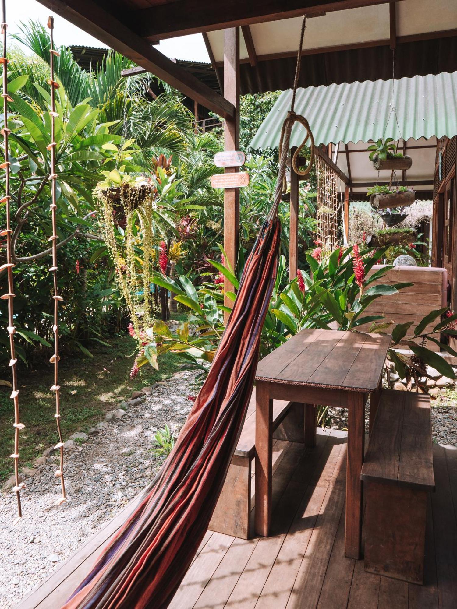Nuba Boutique Hostel パロミノ エクステリア 写真