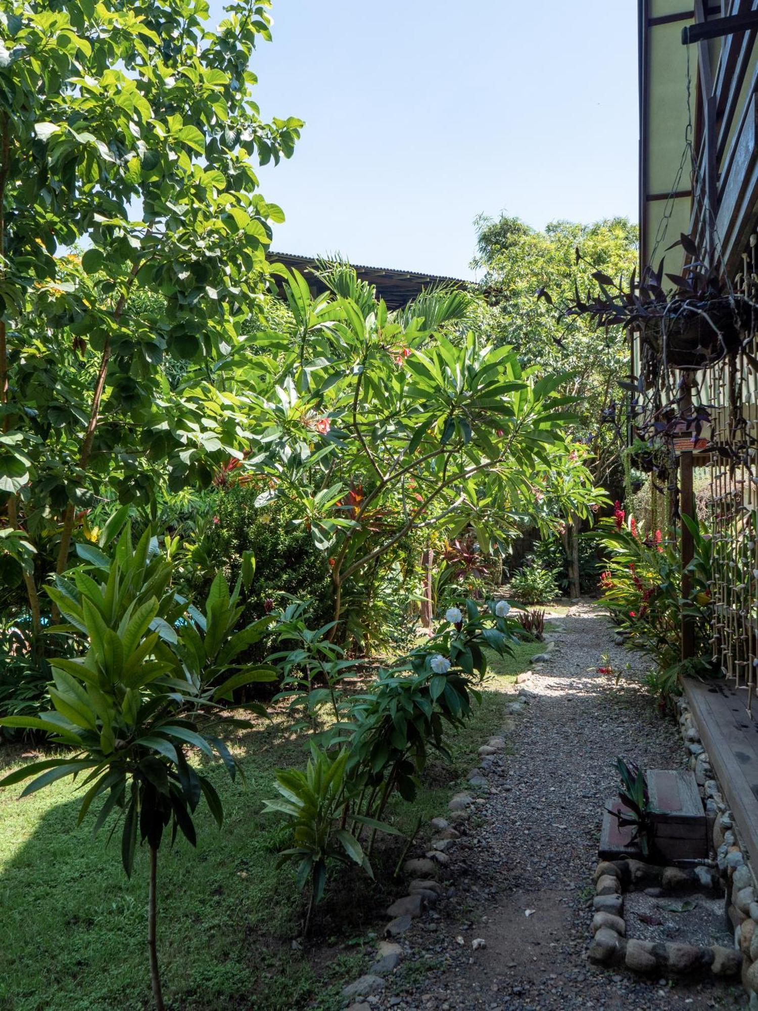 Nuba Boutique Hostel パロミノ エクステリア 写真