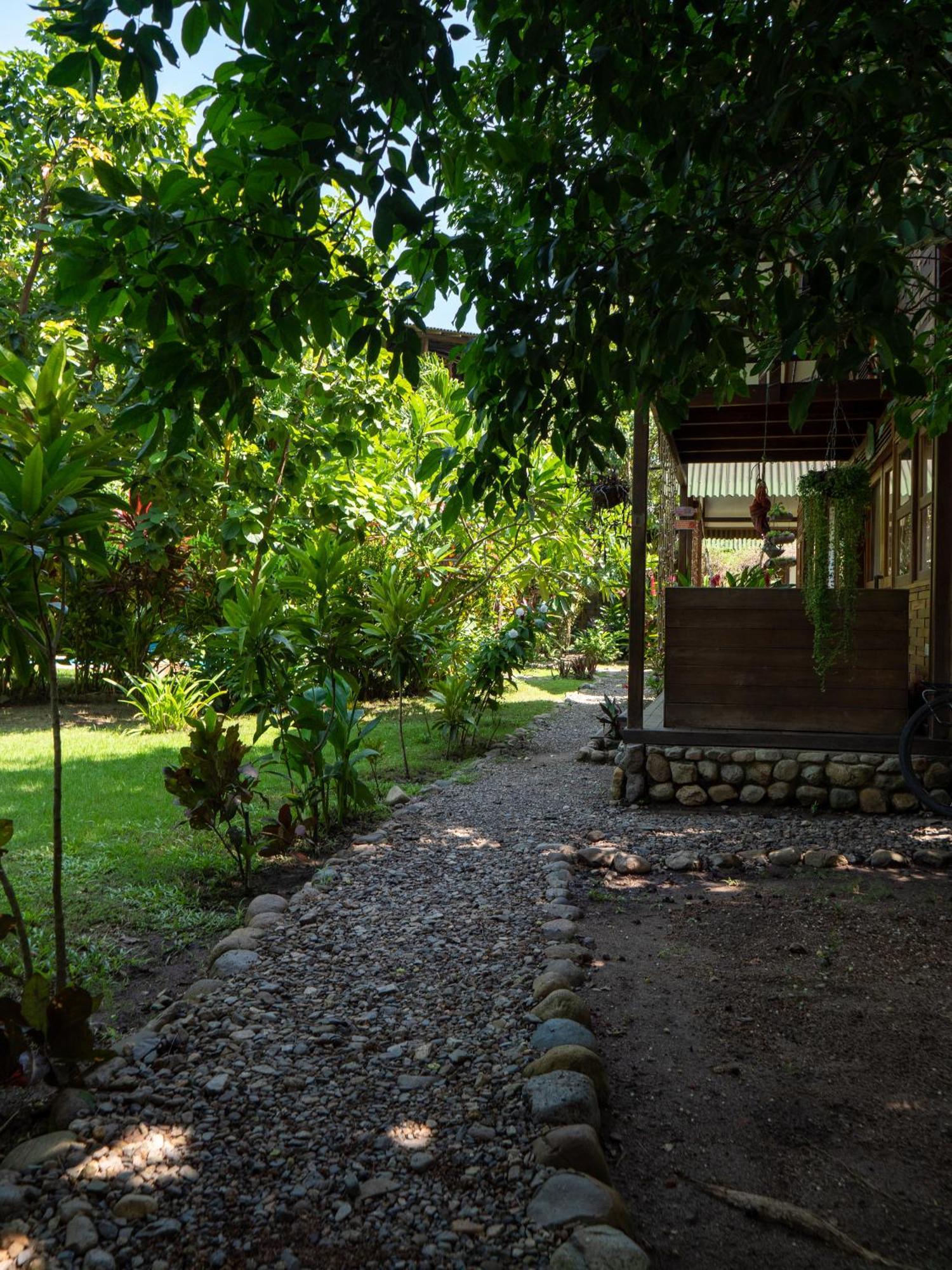 Nuba Boutique Hostel パロミノ エクステリア 写真