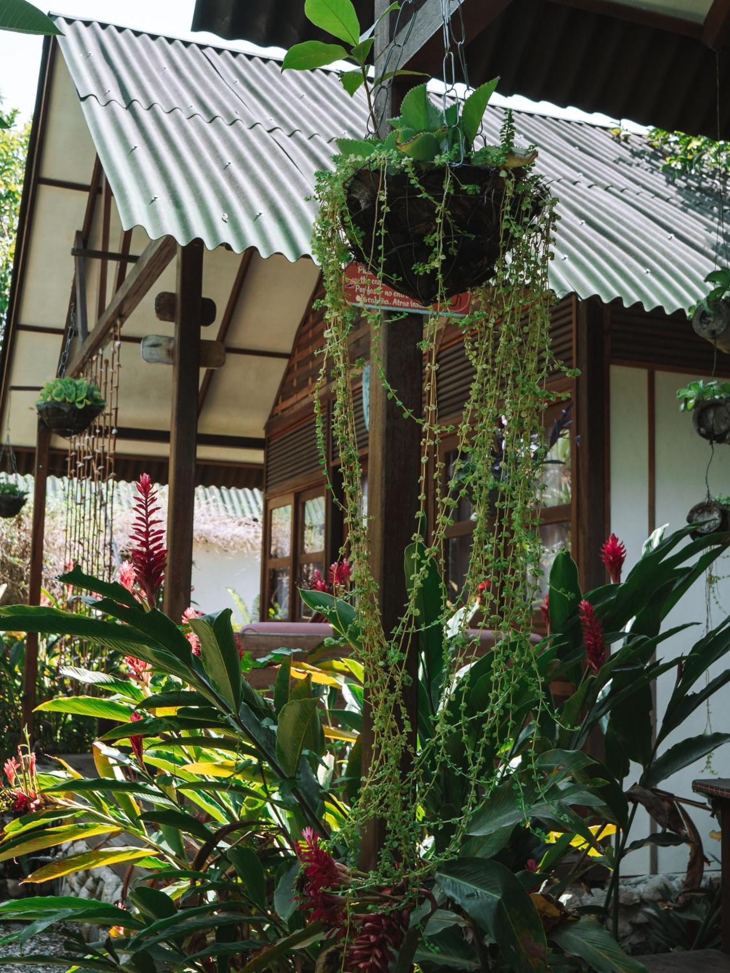 Nuba Boutique Hostel パロミノ エクステリア 写真