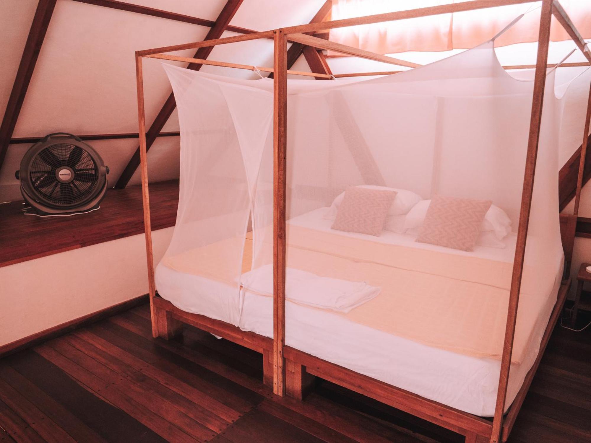 Nuba Boutique Hostel パロミノ エクステリア 写真