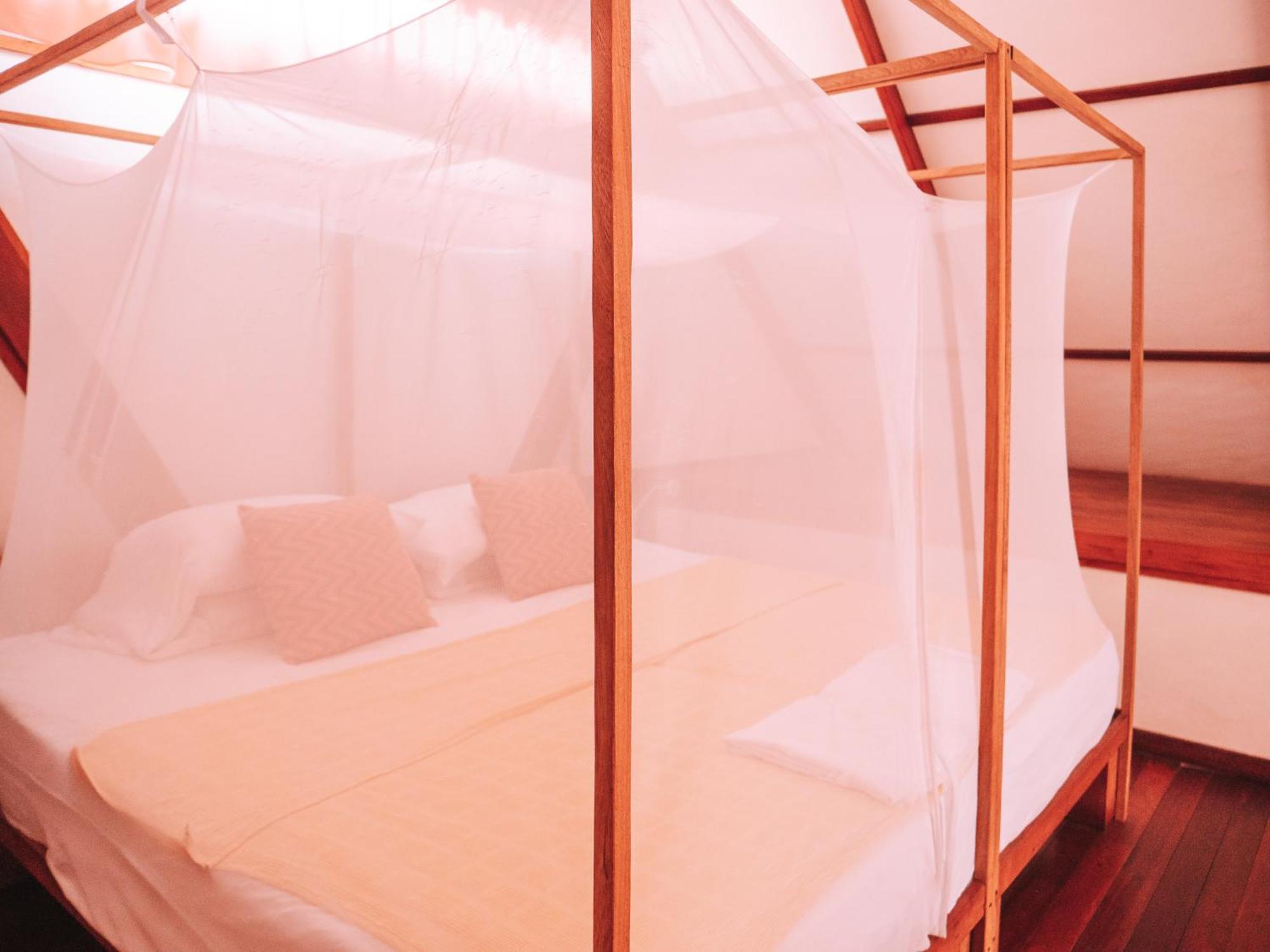 Nuba Boutique Hostel パロミノ エクステリア 写真