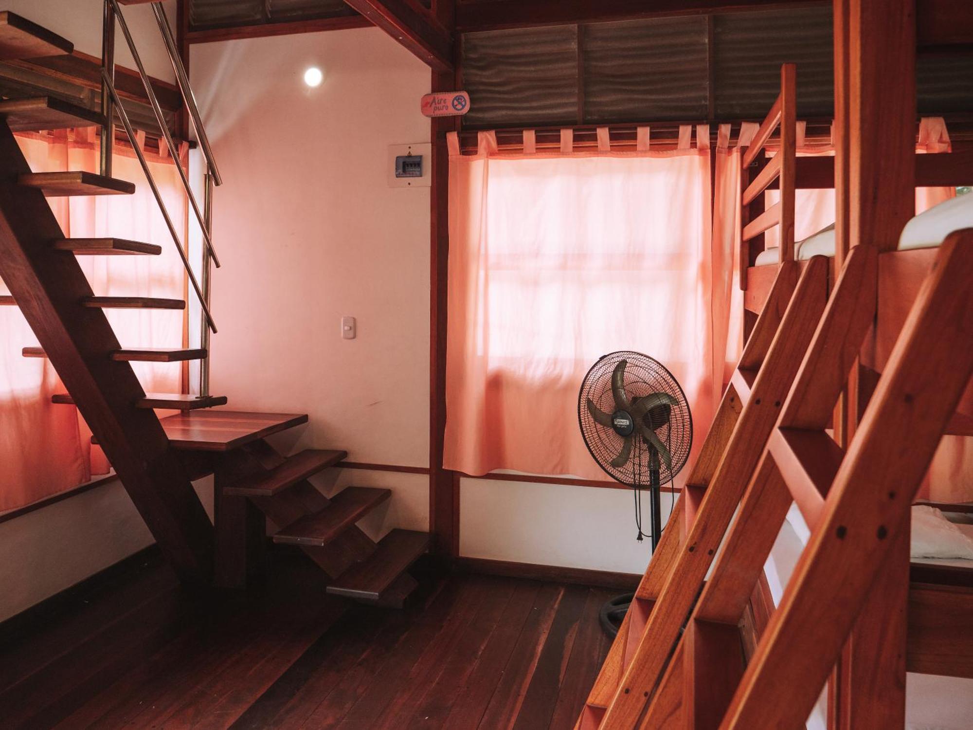Nuba Boutique Hostel パロミノ エクステリア 写真