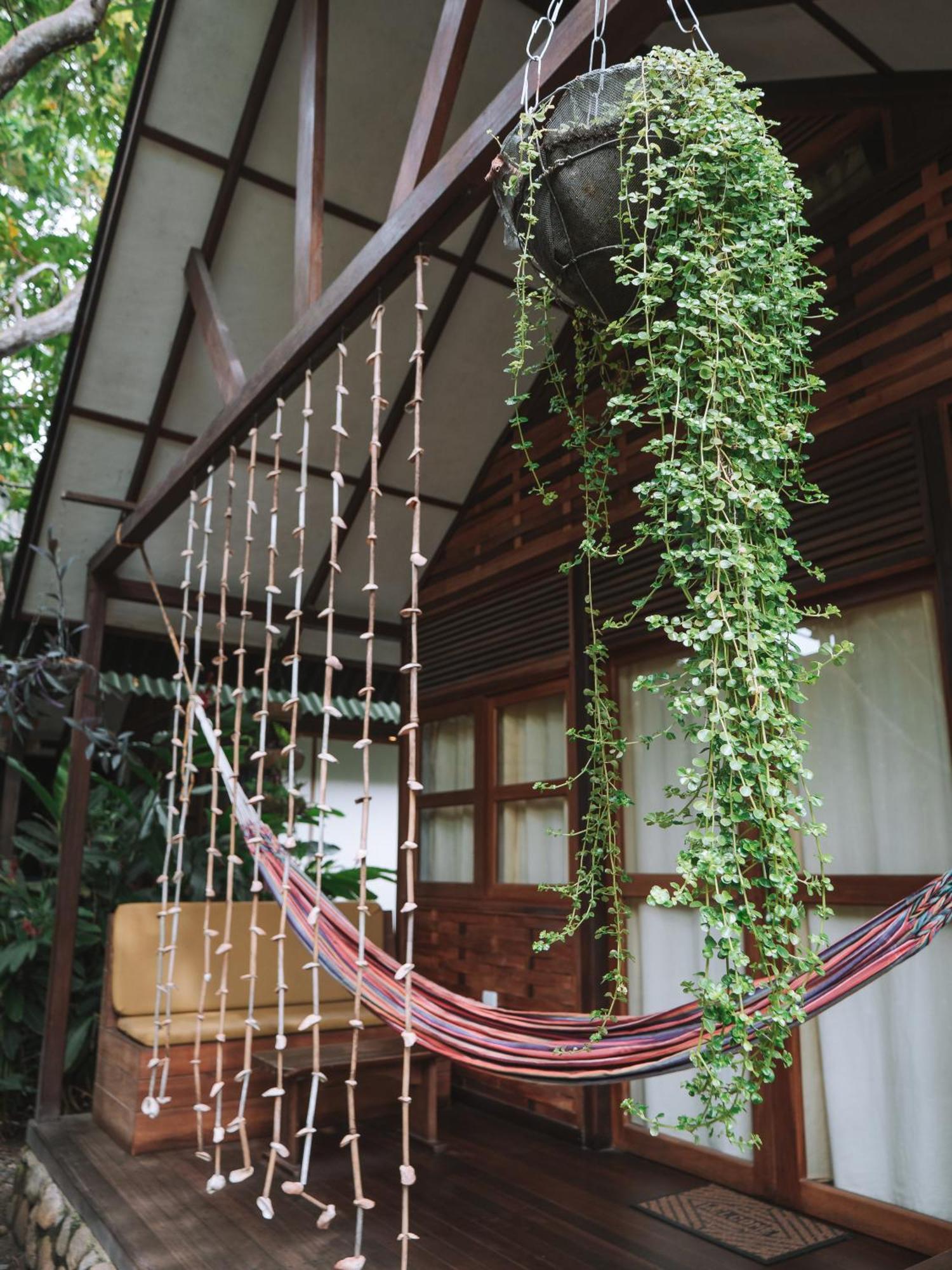 Nuba Boutique Hostel パロミノ エクステリア 写真