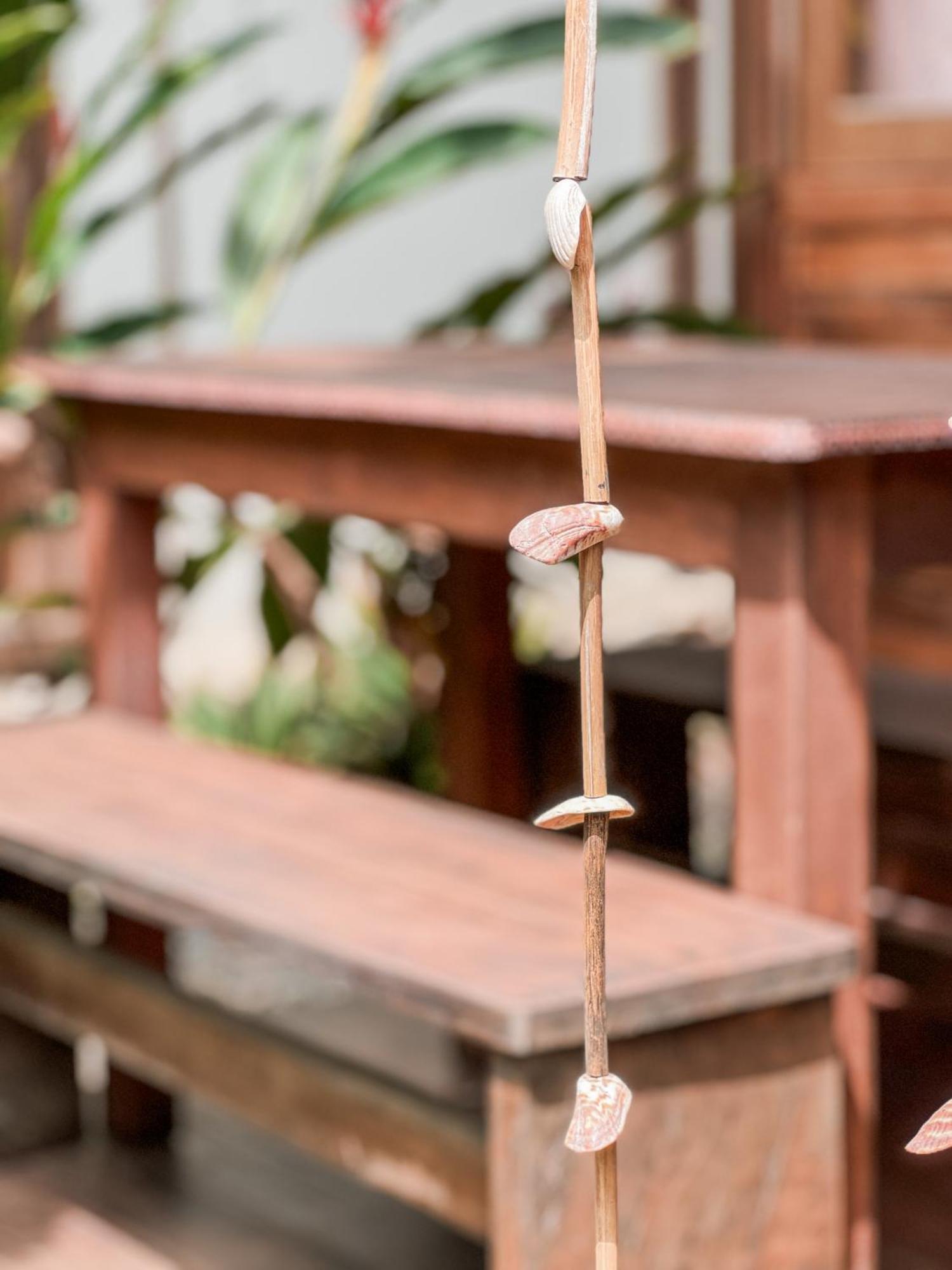 Nuba Boutique Hostel パロミノ エクステリア 写真