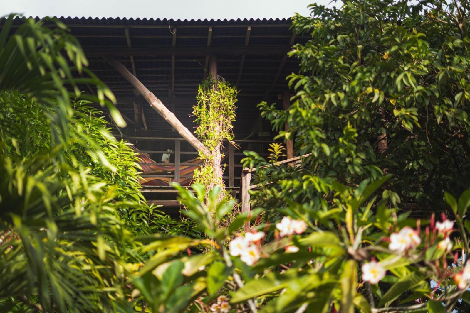 Nuba Boutique Hostel パロミノ エクステリア 写真