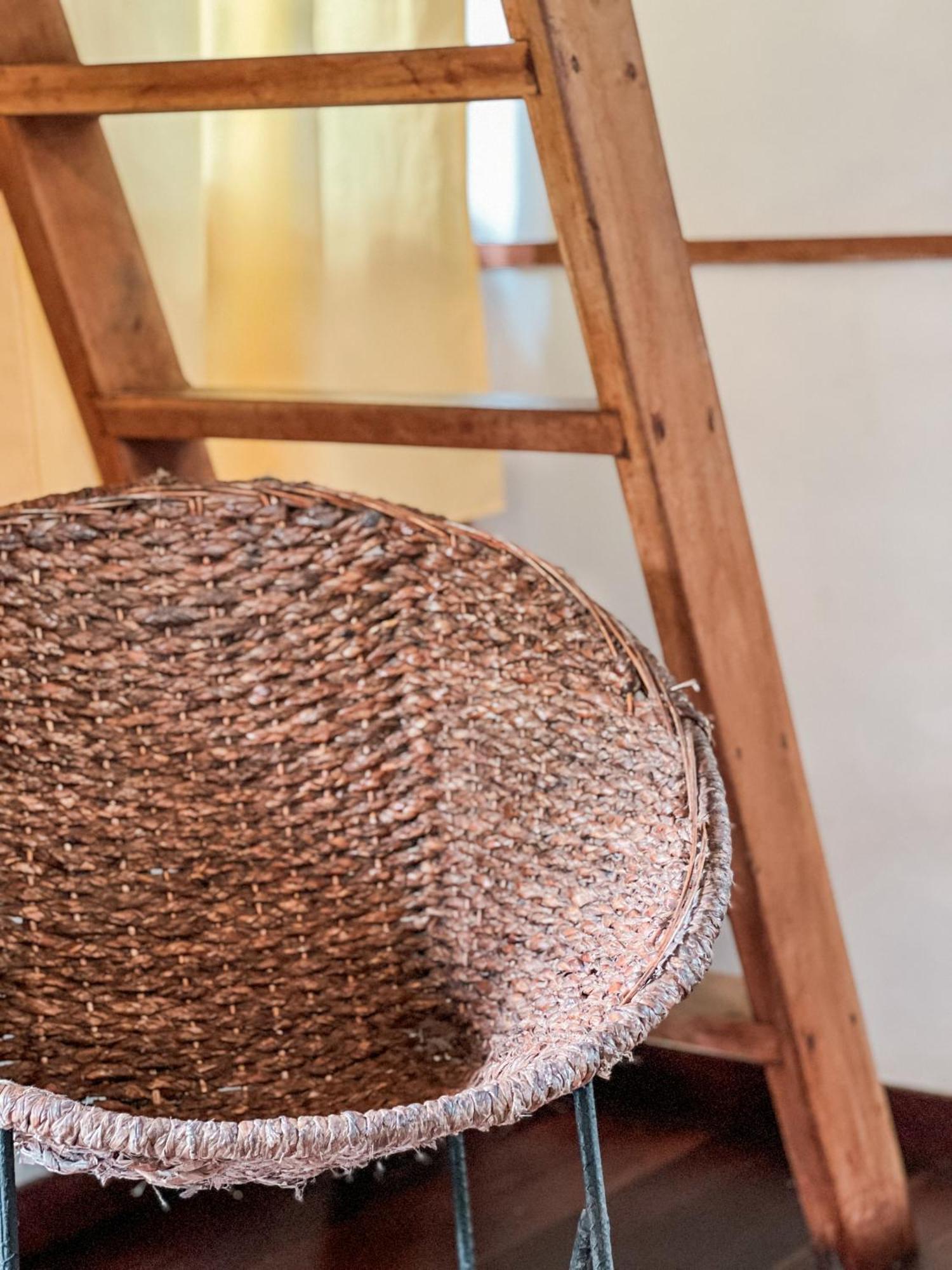 Nuba Boutique Hostel パロミノ エクステリア 写真